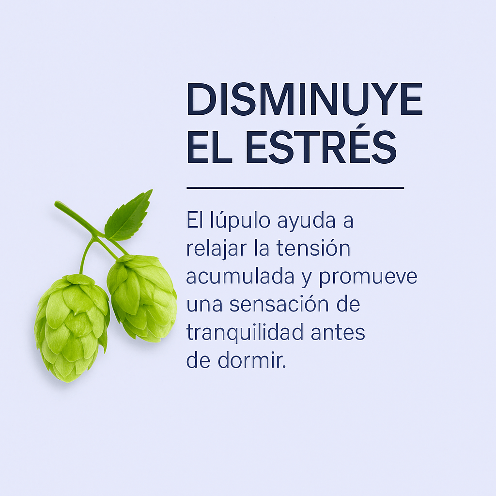 ⭐ Parches KOMODA – Sueño Profundo - Komoda